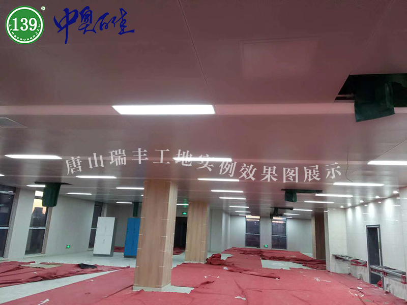 唐山瑞丰工地实例效果图展示